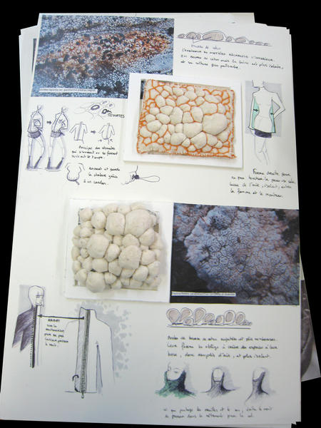 biodiversite¦ü_marine le gall_2_2012