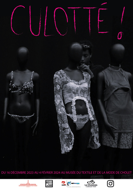 Affiche 2 BD