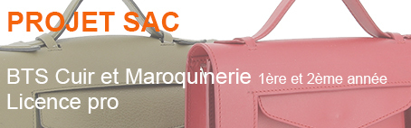 bandeau site ldm sacs TS1 TS2 cuir et licence pro copie