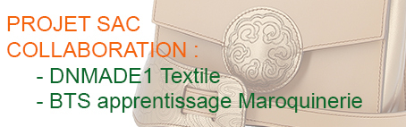 bandeau site ldm sacs TS1APC et DNMADE1 TEX copie