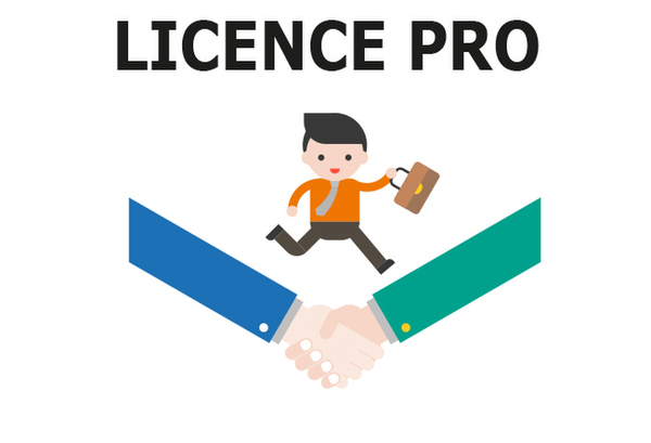icone licence pro
