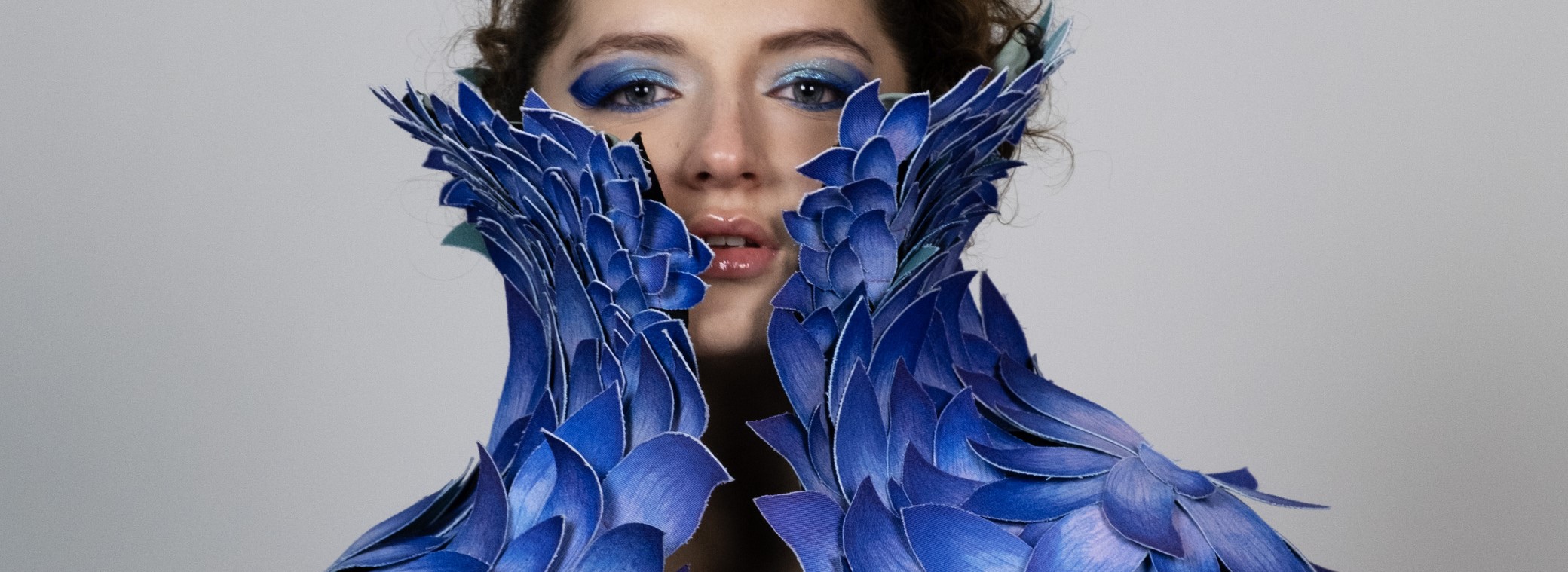 animalité arrière plan