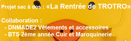 collab-dn2vet-et-bts-cuir