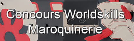 concours-worldskills-bandeau
