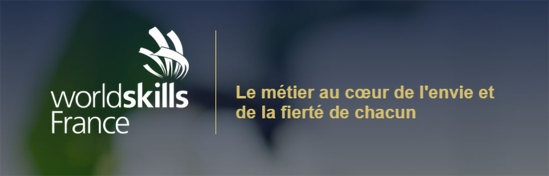 logo_Worlskills_1100jpg